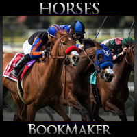 BookMaker.eu